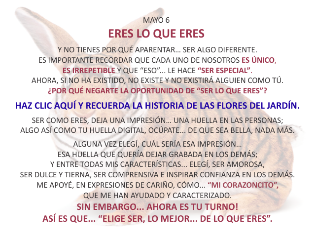Eres lo que eres